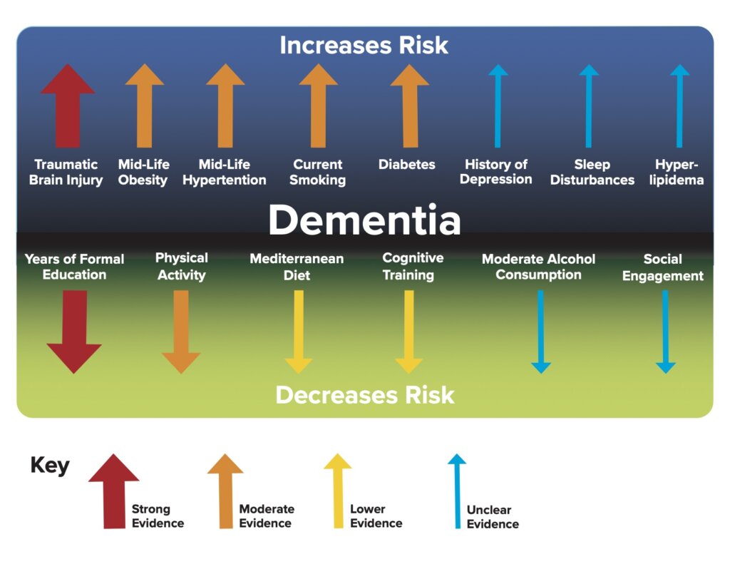 A chart with increased and decreased risks for dementia showing what can cause dementia with red, orange, yellow, and blue arrows for strong to unclear evidence.